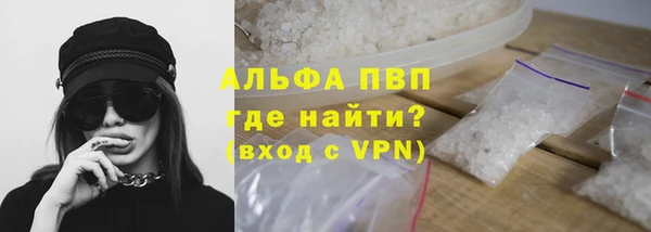 прущие грибы Арсеньев