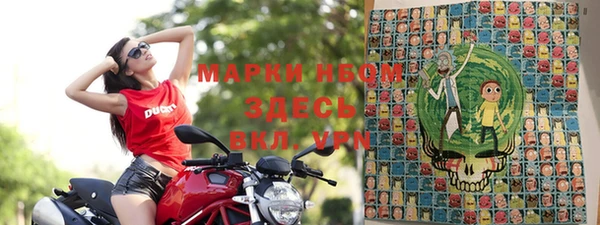 прущие грибы Арсеньев